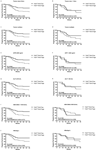 Figure4. Kaplan–Meier curve analysis showing the efficacy of TIGIT+TIM-3+NK cells levels as a predictor of progression-free survival in HBV-HCC across different tumor load, liver function level and HBV virus load. a-b Patients with different tumor size, tumor size ≤ 5 cm (a), tumor size > 5 cm (b); c-d patients with different tumor number, tumor solitary (c), tumor multiple (d); e-f patients with different AFP level, AFP ≤ 400 ng/ml (e), AFP > 400 ng/ml (f); g-h patients with different ALT level, ALT≤ 50 U/L (g), ALT > 50 U/L (h); i patients with different HBV-DNA level; j patients with or without HBeAg. P values and HRs were obtained using the log-rank test