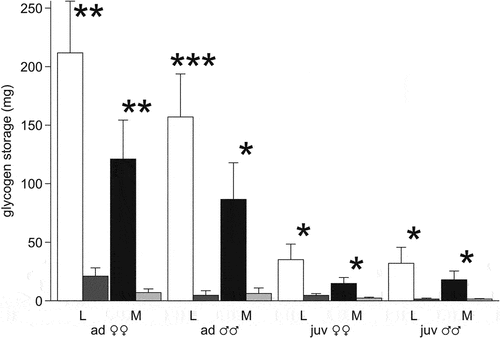 Figure 4. Total glycogen storage (mg) in the liver (L) and muscles (M) of the moor frogs in autumn and after freezing to −6°C. Autumn (control) – white and black columns; freezing (experiment) – gray columns; mean ± SEM; asterisks indicate significant differences between control and experimental group (*P < 0.05; **P < 0.01; ***P < 0.001).