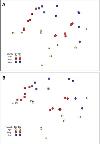 FIGURE 5. Nonmetric multidimensional scaling (NMDS) plots based on (A) numeric data or (B) biomass data describing the juvenile salmon community sampled from shoreline (Sh) or channel (Ch) habitats of the Columbia River estuary. Colors indicate the month of each sampling event. The “X” indicates shoreline and channel sampling dates (July–October) occupying the same position on both plots.