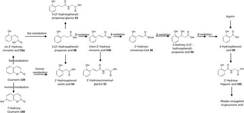 Figure 9. Outline metabolism of 2′-hydroxy-substituted ω-phenyl-alkanoic acids.