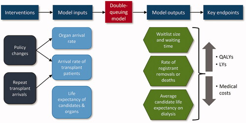 Figure 1. Double queuing model schematic.
