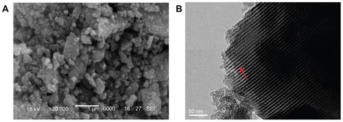 Figure 1 (A) Scanning electron microscopic and (B) transmission electron microscopic images of the morphology of mesoporous bioactive glass.Note: Arrow represents mesoporous channels.
