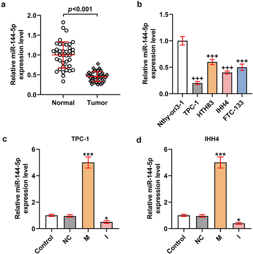 Figure 1. MiR-144-5p was verified to be low-expressed in thyroid carcinoma.