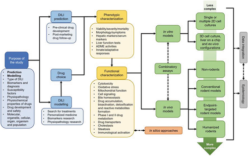Figure 1. Optimal workflow for designing an iDILI modeling strategy. The proposed workflow for iDILI modeling is a flexible circuit that attempts to consider different aspects of experimental design, from the objectives to the choice of the most appropriate setup. Early decisions in the preclinical approach to iDILI include establishing the purpose of the study and the choice of drugs to be used to replicate the liver damage in models. More specific biological aspects such as the processes involved in phenotypic and functional characterization are then considered. The models are categorized into in silico, in vitro and in vivo. The latter two are ordered according to their complexity. Estimation of complex physiological parameters may require the use of in vivo models, while in vitro configurations will be more appropriate for chemical and cellular processes. Combined testing, data integration and correlation with human studies will be desirable to improve the quality of the models, especially when hepatotoxic risk prediction is the main objective.