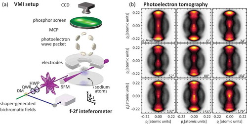 Figure 6. (a) Setup for photoelectron tomography based on VMI spectrometry. The polarization-shaped input pulse is focused into the interaction region filled with Na vapor using a spherical mirror (SFM). For the tomography, the shaped pulse is rotated about its propagation axis using a half wave plate (HWP). Projections of the wave packet are measured under different angles. The 3D density is retrieved from the projections using a Fourier-based reconstruction algorithm [Citation99]. (b) Selected projections from MPI with CRCP fields measured under different angles. The projections exhibit a lateral asymmetry, which is inverted seven times as the pulse is rotated about π.