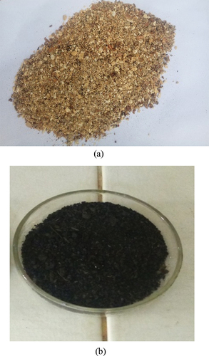 Figure 1. (a) Raw and (b) biochar samples of food waste.