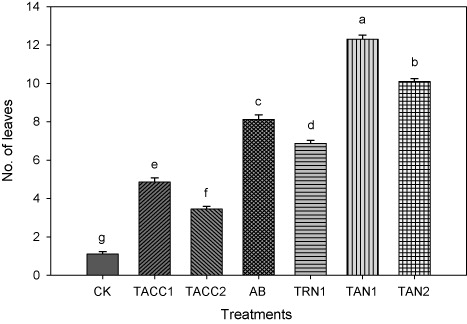 Figure 7. Comparative effectiveness of ACC-deaminase and/or nitrogen-fixing rhizobacteria on number of leaves of tomato. Different letters (a–g) on bars indicate significant differences of mean values for number of leaves. Bars represent standard errors.CK, control; AB, Azotobacter