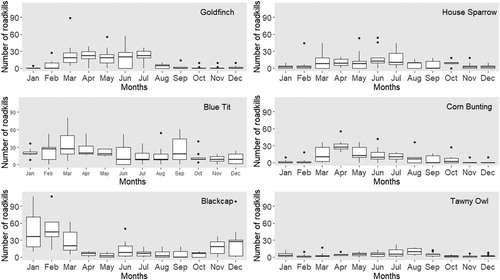 Figure 3. Seasonal trends of the estimated mortality caused by roadkills for Goldfinch, Blue Tit, Blackcap, House Sparrow, Corn Bunting, and Tawny Owl.
