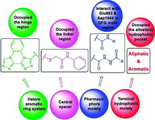 Figure 3. Schematic representation showing the designing strategy.