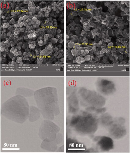 Figure 3. FESEM images for the prepared samples: (a) ZnO (W) and (b) ZnO (ext). TEM images for the prepared samples: (c) ZnO (W) and (d) ZnO (ext).