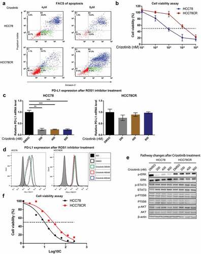 Figure 4. PD-L1 is overexpressed in Crizotinib-resistant HCC78CR cells.