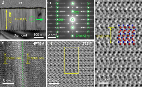 Figure 2. (a) Low magnification cross-section TEM image of ε-Ga2O3 film on diamond. (b) SEAD pattern taken from the region marked by the dashed circle in (a). (c) HRTEM image showing the grain boundary in the ε-Ga2O3 film. (d) STEM image showing the ε-Ga2O3 structure with the [010] zone axial at atomic resolution. (e) Enlarged image taken from the yellow rectangular region of (d). the insert in (e) shows the atomic model of ε-Ga2O3 viewed along the [010] direction. The red and blue balls represent Ga and O atoms, respectively.