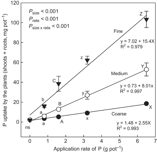 Figure 6 Phosphorus (P) uptake by the plants (shoot + root, mg pot−1) grown at different application rates of P derived from different size biochars. See Table 7 for details of the different size biochars. Different letters within the same application rate of P derived from the biochar indicate significant difference among the different size biochars by Tukey test (P < 0.05). ns, no significant difference. Error bars represent standard deviation (n = 3).