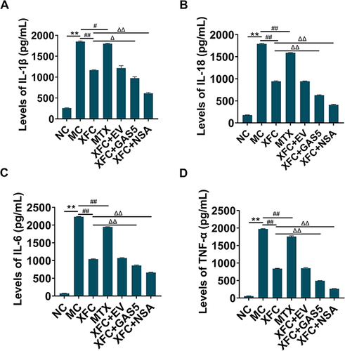 Figure 4 Effect of XFC on serum cytokines in AA rats.