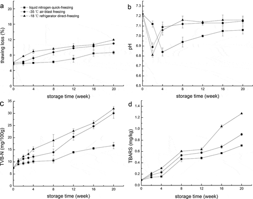 Figure 3. Changes in (a) thawing loss, (b) pH, (c) TVB-N, and (d) TBARS of giant freshwater prawn during the storage at −18°C.