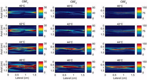 Figure 12. 2 D maps of CBE1 (left), CBE2 (middle), and CBE3 (right) in tissue mimicking gel phantom while the temperature was elevated from 38 to 46 °C. The temperatures measured by the inserted thermocouple were 40, 42, 44 and 46 °C at the center of heated region. The color bars represent percentage change in backscattered energy (with a 38 °C baseline).