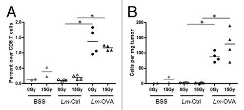 Figure 3.Lm-OVA vaccine therapy increased the frequency and number of OVA-specific CD8+ T cells within the tumor. (A-B) To assay the effects of radiation therapy and Listeria monocytogenes (Lm) vaccine combinatorial therapy on tumor antigen-specific T cells, 1 x 105 B16-OVA cells were injected intramuscularly into the thigh and mice were treated with 0 Gy or 15 Gy on day 7, and Ctrl-Lm or Lm-OVA on day 8. Tumors were excised on day 13, weighed and processed into single cell suspensions by collagenase treatment. Cells were stained with fluorescence-conjugated antibodies for an hour and followed by cytofluorimetric analysis. To detect antigen-specific CD8+ T cells, PE-conjugated H-2Kb/SIINFEKL dextramers (Immundex) were used to label cells prior to staining with anti-CD45, -CD3 and -CD8 antibodies. OVA-dextramer+ cells were expressed in terms of (A) percentage over total CD8+ T cells (B) relative number of cells in 1 mg of each tumor. Data shown are representative of two independent experiments. In each experiment, n = 2 for balanced saline solution (BSS) controls, and n = 4 for mice that were treated with Lm-Ctrl or Lm-OVA. Statistical significance was evaluated using one-way ANOVA.