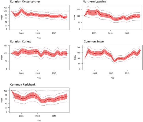 Figure 2. Changes in annual indices for the five wader species, with indices measured relative to that of the first survey year (2002) and standard error (red shaded areas) and 95% confidence intervals (dotted line) shown.