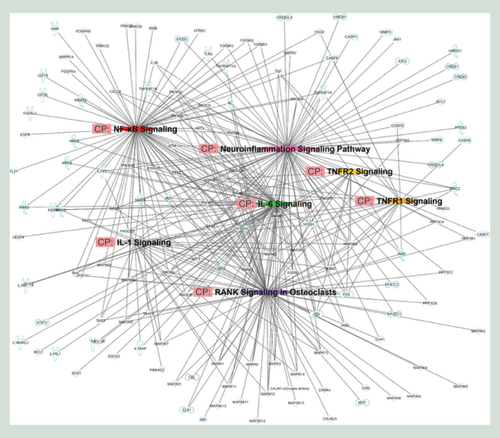 Figure 3.  A network of predicted genes affected by differentially expressed miRNA from G1 versus G2 comparison created by Ingenuity Pathway Analysis. The networks hypothesized by Ingenuity Pathway Analysis are based on the molecular relationships, interactions and pathway associations between the methylated candidate genes as shown in a graphical representation.