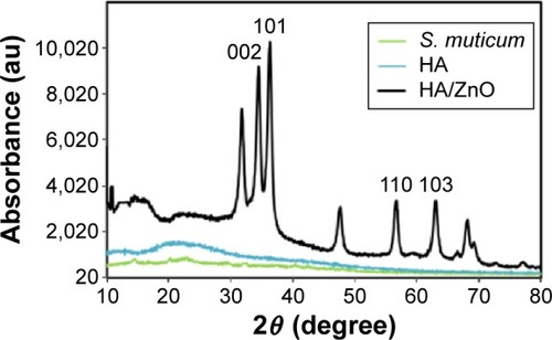 Figure 4 X-ray diffraction pattern of the HA/ZnO nanocomposite.