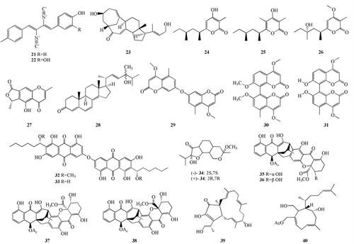 Figure 2. Chemical structures of antimicrobial compounds (21-40).