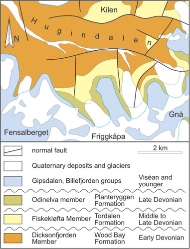 Fig. 9  Geological map of the Hugindalen area. The lowermost unit of the Mimerdalen Subgroup (Estheriahaugen Member) is not exposed. The Fiskekløfta Member unconformably overlies the Early Devonian Wood Bay Formation. The Odinelva member unconformably overlies the faulted Fiskekløfta Member and Wood Bay Formation. The Munindalen Member and the Plantekløfta Formation are not exposed.