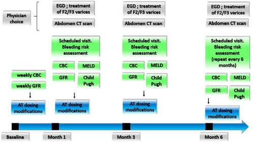 Figure 2 Follow-up schedule evaluation of SVT.