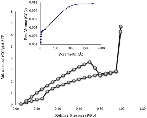 Figure 7 Adsorption and desorption curves of optimized NSs (CDN3).