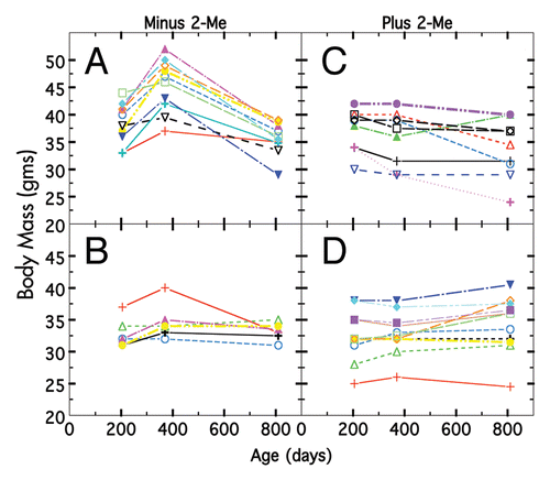 Figure 3 Body weight changes of individual mice on two different diets ± 2-Me. (A) Diet was 10%T minus 2-Me, (B) diet was 4%P minus 2-Me, (C) diet was 10%T plus 2-Me, (D) diet was 4%P plus 2-Me. Individual mice depicted by different colors.