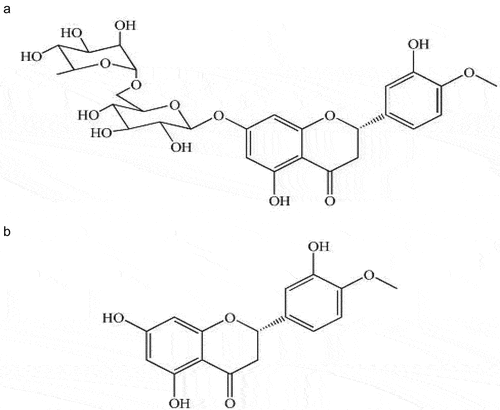 Figure 1. (A); Hesperidin’s chemical composition and complete stereochemistry (3, 5, 7-trihydroxy-4-methoxyflavanone-7-rhamnoglucoside), (B); Hesperitin’s chemical composition and complete stereochemistry (3, 5, 7-trihydroxy-4-methoxyflavanone).