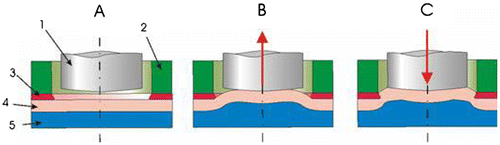 Figure 17. Operational sequence of the hydro-clinching [Citation224].