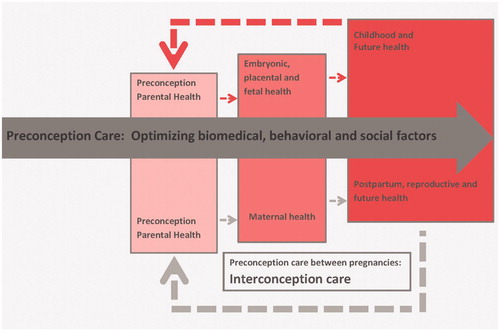 Figure 2. Preconception care and Interconception care impact.