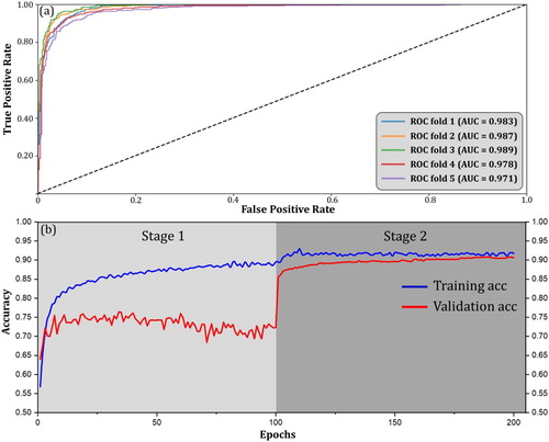 Figure 6. Model performance of the visual CNN: (a) the ROC curves for all 5 folds; (b) the training and validation accuracy curves for fold 3 (best fold) in two stages.