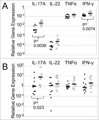 Figure 3. Increased expression of Il17a in the colon of C. albicans-precolonized, Cd-challenged mice. All mice were treated with cefoperazone for 10 days and received clindamycin. Mice were euthanized on the day of challenge before receiving spores (A) or 2 days post challenge with C. difficile (B). RNA was extracted from colon tissue, converted to cDNA and expression of transcripts was measured in cDNA by qRT-PCR and was expressed in arbitrary units using GAPDH for normalization. The average for Cd-challenged mice was set to 1 for each experiment and samples were expressed relative to this value. Combined results of two experiments are shown. Each symbol represents a sample from an individual mouse and the bar indicates the geometric mean. Black diamond, received PBS but no C. albicans; open triangle, received PBS and C. albicans. p values, Mann Whitney test.