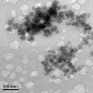 Figure 5. HRTEM micrograph of aggregates of CdS nanoparticles. Note: Scale bar = 100 nm.