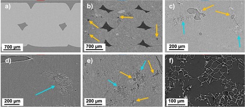 Figure 6. XCT images of (a) ASA; (b) ASA10FC; (c) ASA10FC; (d) ASA10CC; (e) ASA30FC and (f) FC; blue arrows mark cork and orange arrows porosity next to the cork particles.