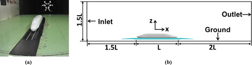 Figure 5. The train model and the side view of the wind tunnel: (a) Train model; (b) Side view of the wind tunnel.