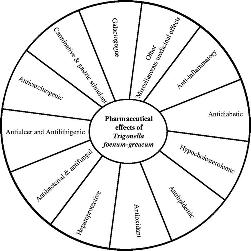 Figure 1. Summary of pharmaceutical effects of Trigonella foenum-graecum.