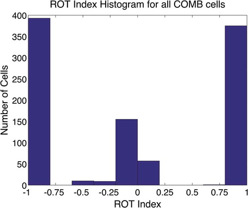 Figure 9. Specificity of ROT to COMB synaptic weights.In this histogram, a ROT index of +1 indicates that all afferent connection weight for that cell comes from ROT cells signalling head rotation, whilst a ROT index of −1 indicates that all afferent connection weight for that cell comes from ROT cells signalling a stationary head. ROT index values in between this range indicate mixed ROT cell specificity for a given COMB cell. This figure demonstrates that whilst the majority of COMB cells are specific to either head rotation or no head rotation, there is a noticeable proportion which are not.