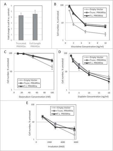 Figure 4. Effect of PRKAR2A expression on response to cytotoxic impacts. LNGK9 cell variants were treated with (A) 1nM Taxotere (5-day treatment, 1 week recovery), (B) vincristine (5 day treatment, 4 day recovery), (C) doxorubicin (2 day treatment, 4 day recovery), (D) cisplatin (1 day treatment, 3-day recovery), or (E) gamma-irradiation (3 day recovery), after which, cell number was assessed by methylene blue, and the change imparted by PRKAR2A variants was graphed versus untreated control cells. The average results of 3 independent experiments are shown and the error bars depict standard deviations.