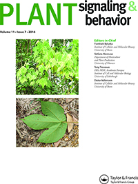 Cover image for Plant Signaling & Behavior, Volume 11, Issue 7, 2016