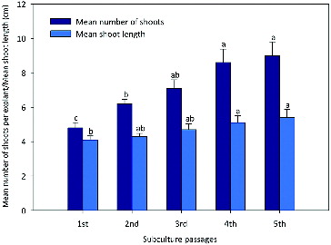 Figure 1. Evaluation of morphogenetic potential of shoot culture from nodal explants of R. serpentina obtained from TDZ (0.8 µmol/L) after being tested for five subculture passages on growth regulator free MS medium.Note: Bars represent the means ± standard error (SE). Bars denoted by the same letter within response variables are not significantly different (P ≤ 0.05) using Duncan's multiple range test.