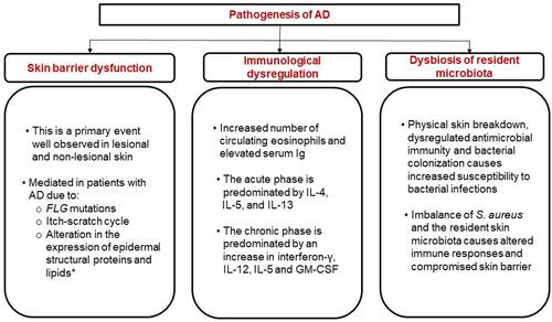 Figure 2 Pathogenesis of AD. Data from Citation1,Citation29,Citation48.