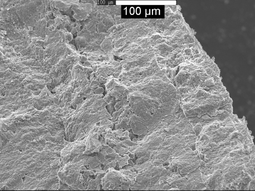 Figure 7 SEM image of the edge of a pisolith showing four cortices, each <100 μm in width.