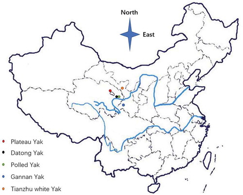Figure 1. Geographic map of the five yak breeds.