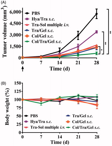 Figure 6. Comparison of the antitumor efficacy of Col/Tra/Gel with different clinical regimes in BT474 tumor-bearing mice. The tumor growth (A) and body weight (B) in BT474 tumor-bearing mice after treatment with different formulations (n = 6). *p < .05; **p < .01; ***p < .001, compared with the Col/Tra/Gel s.c. group.