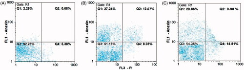 Figure 9. Flow cytometry charts for evaluating apoptosis induced by AgNPs in 24 h. (A) Control cells (untreated cells); (B, C) IC50 concentration of phytosynthesized and commercial AgNPs, respectively. Q1 represents early apoptotic cells with Annexin-FITC + and PI− staining index, Q2 represents late apoptotic cells with Annexin-FITC + and PI+, Q3 represents healthy cells with Annexin-FITC− and PI− staining index and Q4 is necrotic cells with Annexin-FITC− and PI+ staining index.