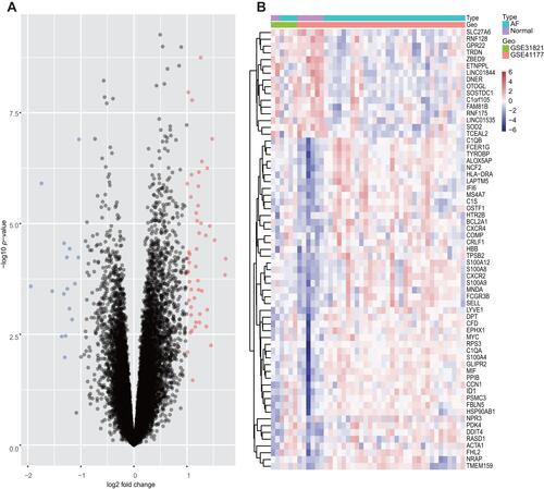 Figure 2 Volcano plots and Heatmap for the DEGs identified from the integrated dataset.