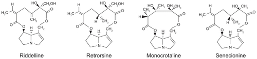 Figure 2 Nomenclatures and structures of the tumorigenic retronecine-type pyrrolizidine alkaloids.Citation13