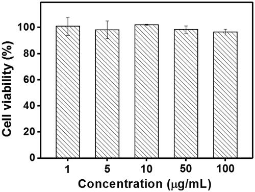 Figure 11. Cytotoxicity of Tf-HPAA-GO to 3T3 cells (37 °C and 5% CO2, n = 5).
